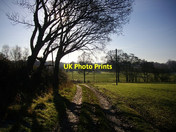 Photo 6"x4" Track to Brockbury Hall Colwall c2008