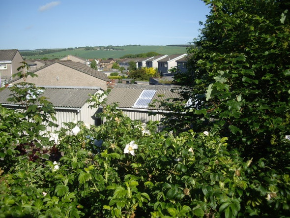 Photo 6"x4" View NW from Stonehaven Station Stonehaven c2009