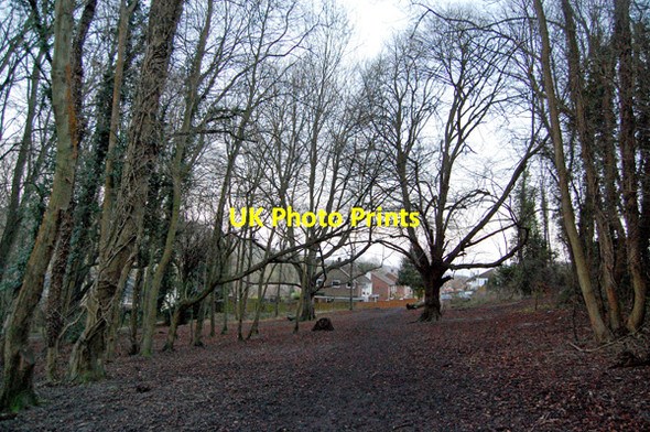Photo 6"x4" Kearsney Abbey footpath looking towards Chilton Way Kearnsey c2007
