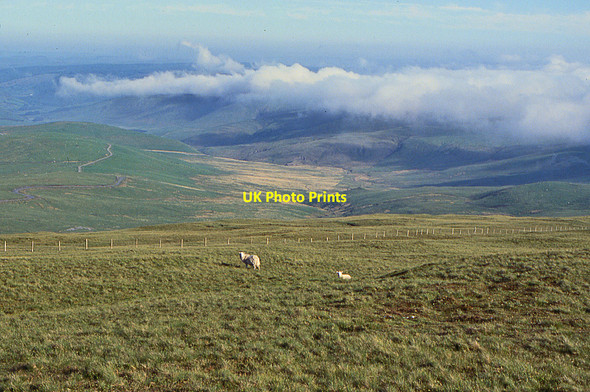 Photo 6"x4" Hillside southeast of Pen Lluest-y-carn Pen Lluest-y-carn c1993