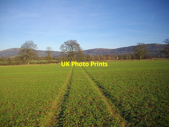 Photo 6"x4" Footpath towards Brockbury Hall Barton Court\/SO7440 c2008