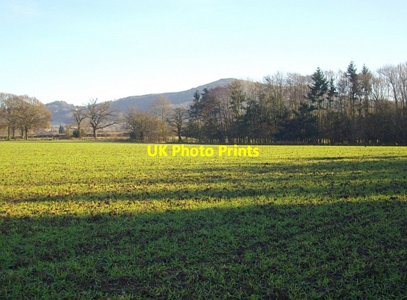 Photo 6"x4" Fields of Colwall Barton Court\/SO7440 c2008