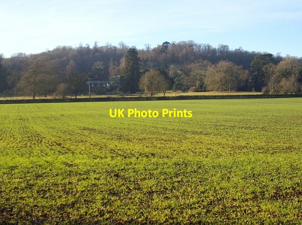 Photo 6"x4" Old Colwall Colwall c2008