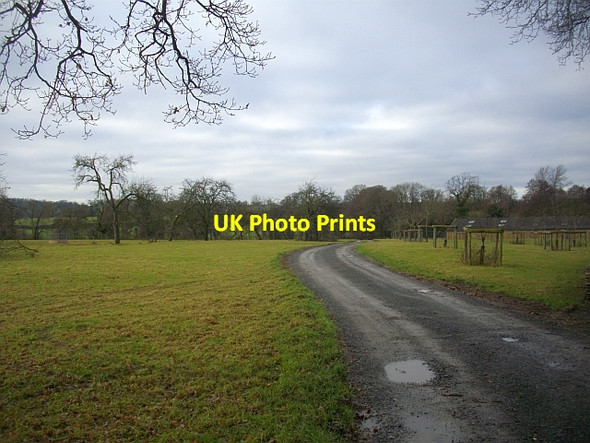 Photo 6"x4" Track between The Reddings and Colwall Mill Farm Colwall c2008