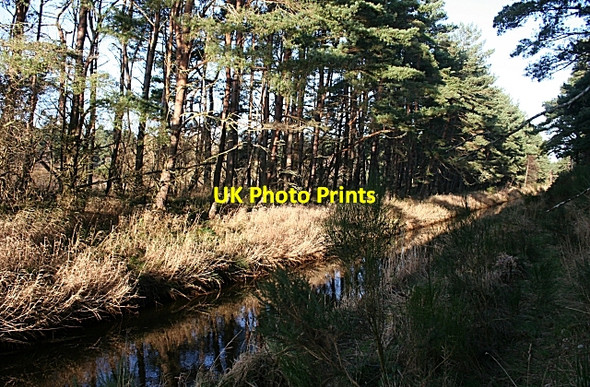 Photo 6"x4" Innes Canal Windyridge\/NJ2367 c2008