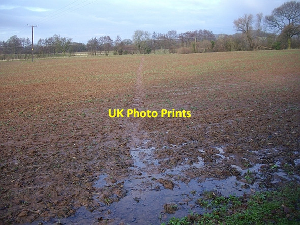 Photo 6"x4" Muddy footpath to Weobley Cross Ham Green\/SO7444 c2008