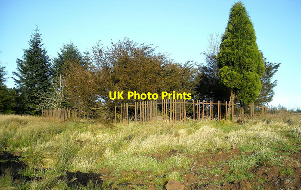 Photo 6"x4" Memorial in Whitelee Forest Cock Hill\/NS5943 c2008