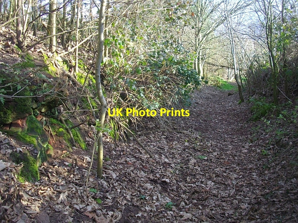 Photo 6"x4" Old routeway through red sandstone, Bromesberrow Bromesberrow c2008
