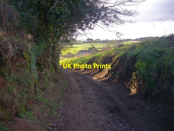 Photo 6"x4" The old road to the Pepper Mill Bromesberrow c2008