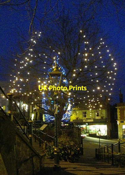 Photo 6"x4" Alignment: gas lamp and trees on Belle Vue Island Great Malvern c2008