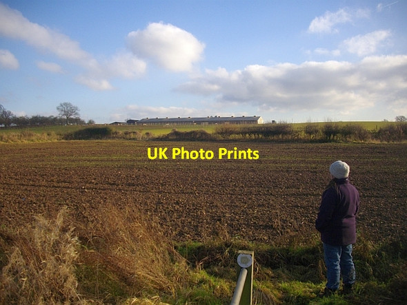 Photo 6"x4" Free Range Hen House Hallwood Green c2008