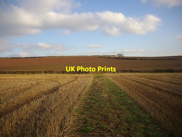 Photo 6"x4" The Poet's Path near Rosehill Hallwood Green c2008