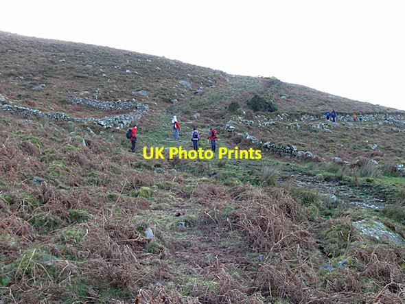 Photo 6"x4" Old Trackways Ballymurphy c2008