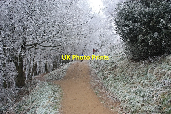 Photo 6"x4" Path splits, Black Hill Brand Green\/SO7641 c2009