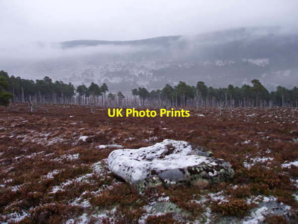 Photo 6"x4" Eastern Slopes of Carn Dearg Sluggan c2009