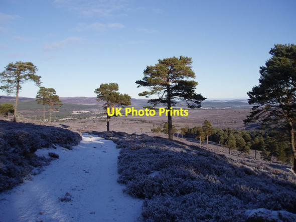 Photo 6"x4" An Slugan Dubh Track Garbh-mheall M\u00f2r\/NH8317 c2009