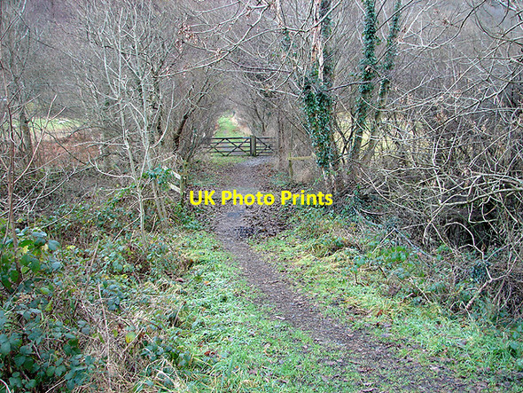 Photo 6"x4" Bridleway crossing the Mawddach Trail Barmouth\/Abermaw c2008