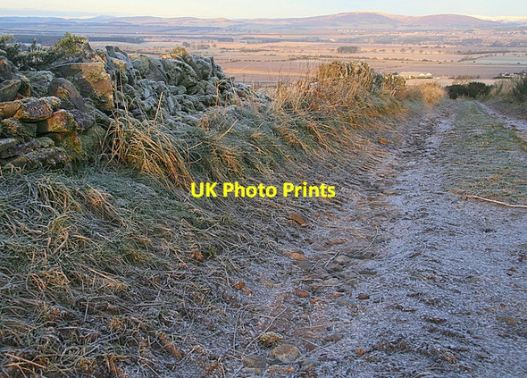 Photo 6"x4" Farm track, Mains of Brigton Douglastown c2009