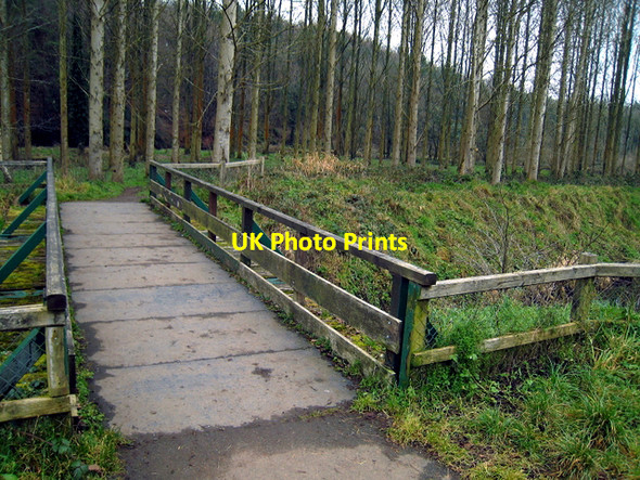 Photo 6"x4" Bridge on the Lagan Towpath Belfast c2009