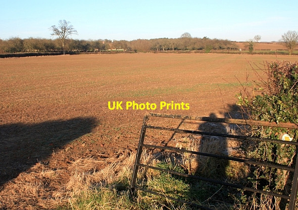 Photo 6"x4" Path to Laddin Farm Little Marcle c2009