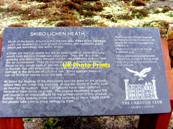Photo 6"x4" Information plaque at Skibo Clashmore\/NH7489 c2009