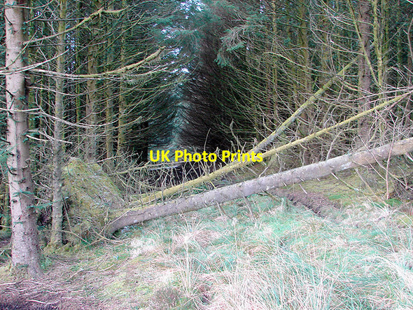 Photo 6"x4" Bridleway at Bryn Bach Pant Mawr\/SN8482 c2009