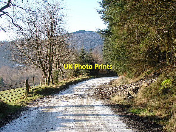 Photo 6"x4" Road into Hafren Forest Tynyrwtra\/SN8885 c2009