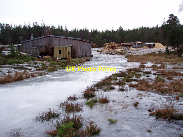 Photo 6"x4" Forest Lodge Sawmill, Abernethy Forest Clachaig\/NJ0218 c2009