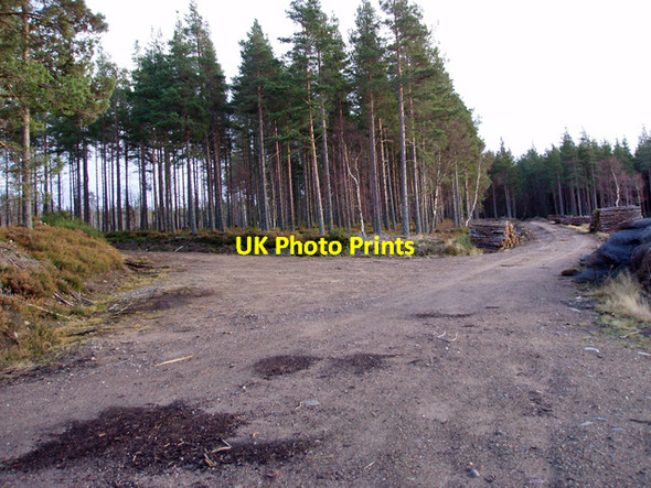 Photo 6"x4" Track Junction in Airdrie Plantations Relugas c2009