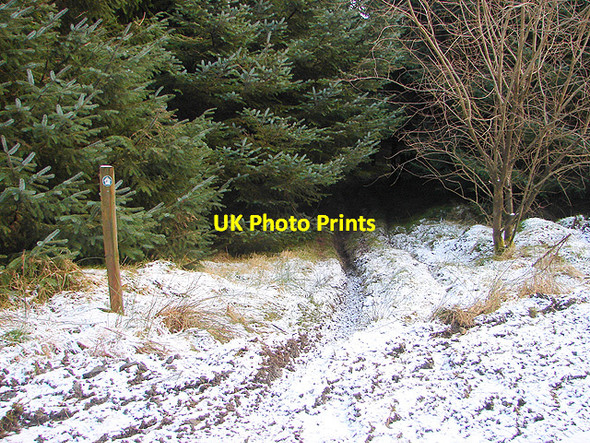 Photo 6"x4" Waymarked right of way Tynyrwtra\/SN8885 c2009
