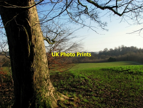 Photo 6"x4" Barnetts Demesne Drumbeg\/J3066 c2009