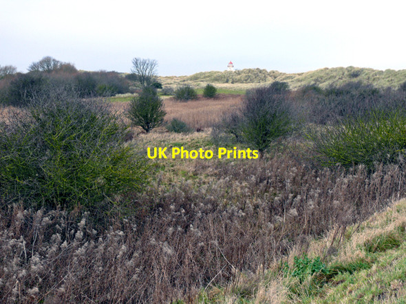 Photo 6"x4" Talacre Warren Talacre c2009