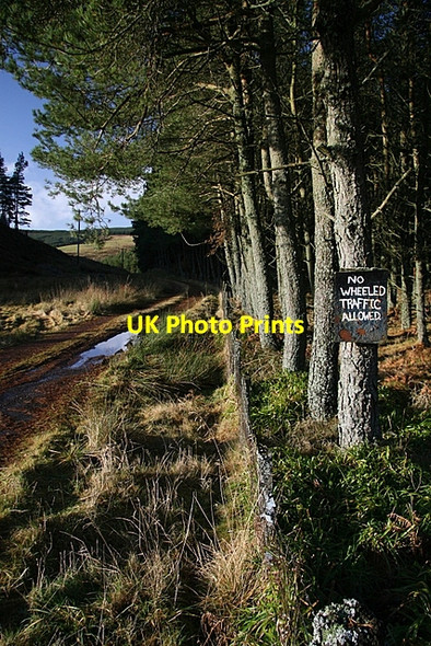 Photo 6"x4" On foot or horseback then ! Freuchies c2009