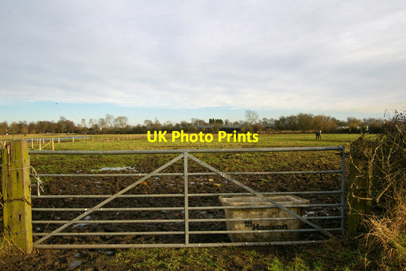 Photo 6"x4" Field with Horses Brigg c2009