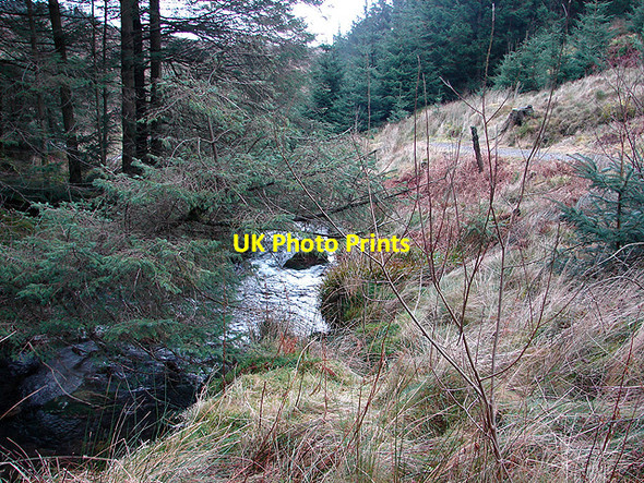 Photo 6"x4" The River Severn Carn Biga c2009