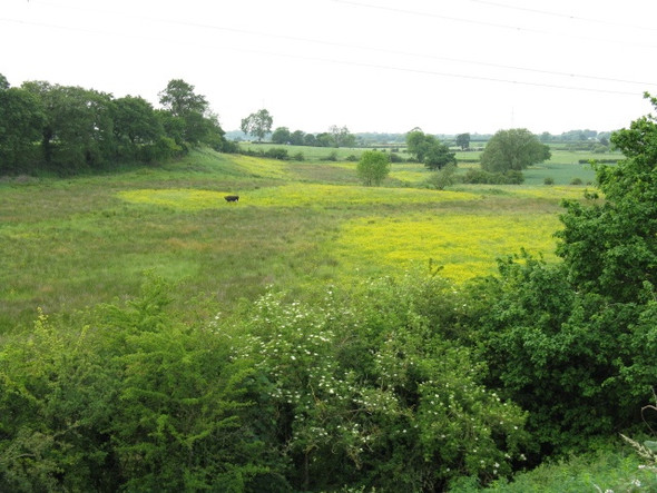 Photo 6"x4" Rolling Cheshire Countryside Dunham Woodhouses c2009