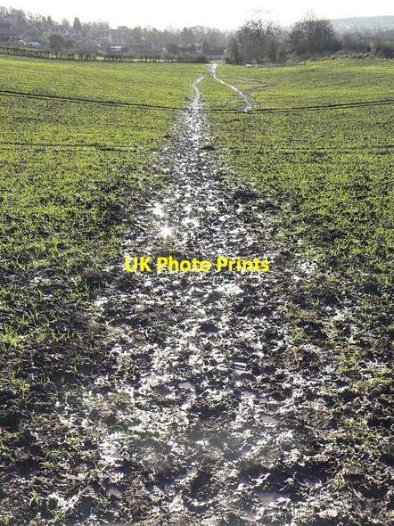Photo 6"x4" Muddy footpath Carlton\/SK6041 c2009