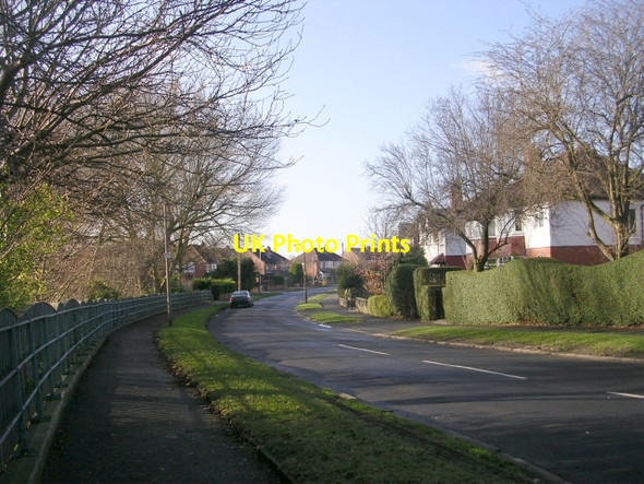 Photo 6"x4" Montagu Crescent - Oakwood Lane Hollin Park\/SE3336 c2009