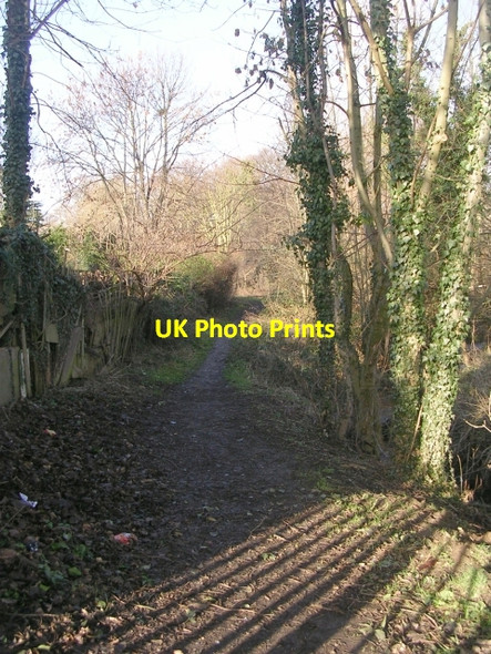 Photo 6"x4" Woodland Path - Easterly Road Hollin Park\/SE3336 c2009