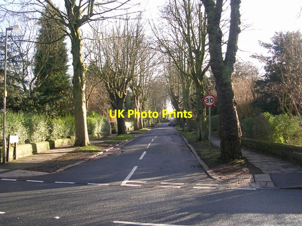 Photo 6"x4" Lady Wood Road - Wetherby Road Gipton Wood c2009