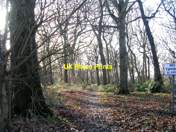 Photo 6"x4" Woodland Track - Oakwood Boundary Road Leeds\/SE3034 c2009