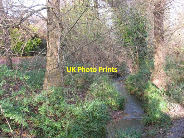 Photo 6"x4" Lilley Brook near Cox's Meadow Cheltenham c2008