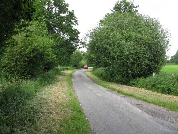 Photo 6"x4" Carr Green Lane Dunham Woodhouses c2009