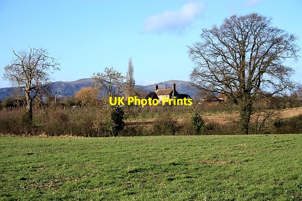 Photo 6"x4" Tiltridge farmhouse The Hyde\/SO8340 c2009