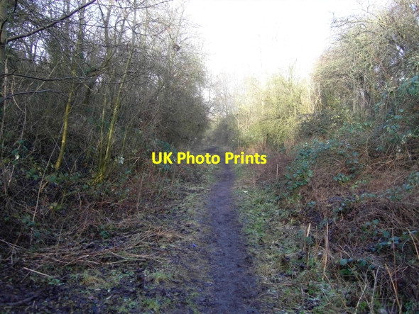 Photo 6"x4" Pilley Nature Reserve west of Pilley Bridge Cheltenham c2009