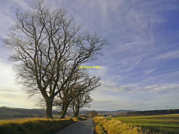 Photo 6"x4" Road to Munlochy Munlochy c2009
