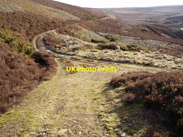 Photo 6"x4" Track Junction Allt Bruachaig\/NH8529 c2009