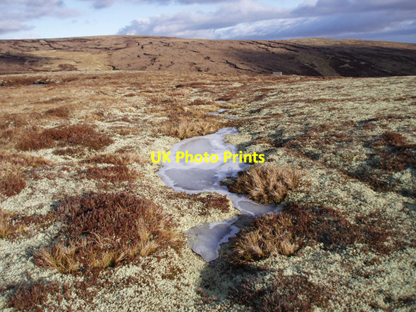Photo 6"x4" Boggy Moorland with Lichen Carn an t-Sean-liathanaich c2009