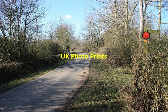 Photo 6"x4" The road to Brotheridge Green Brotheridge Green c2009