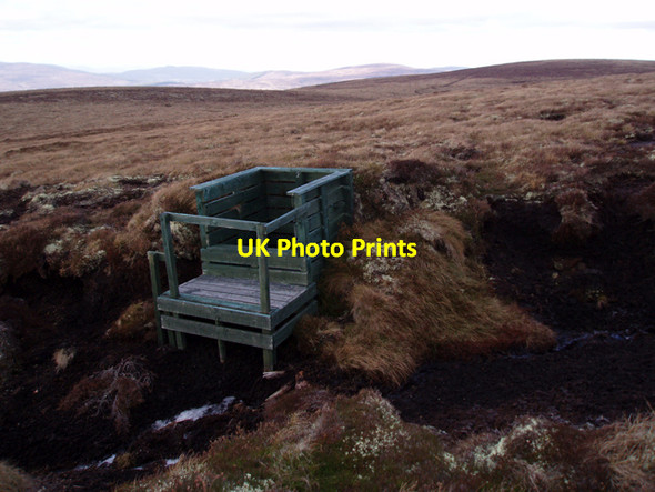 Photo 6"x4" Green Grouse Butt Carn Leathan c2009